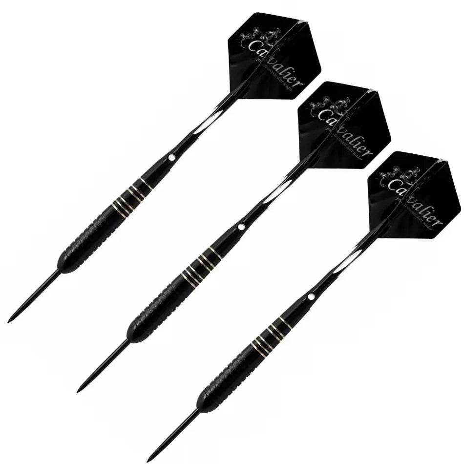 23g 3pcs set Darts & Case