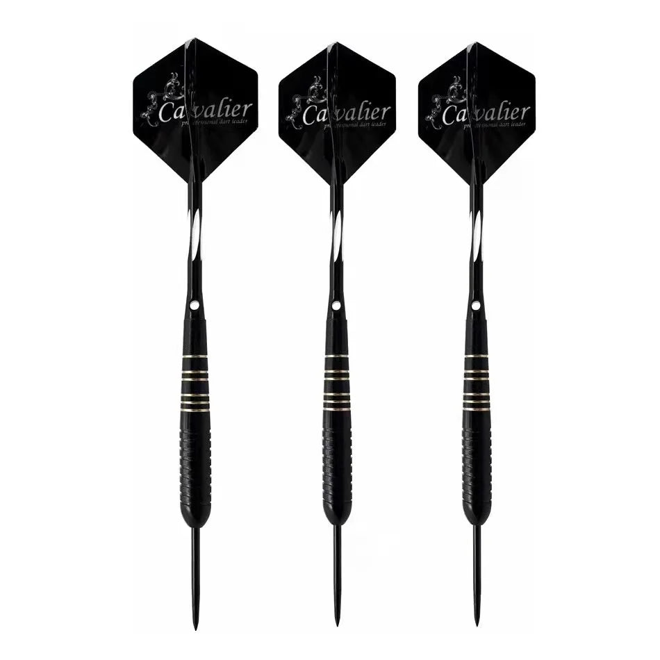 23g 3pcs set Darts & Case