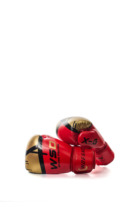 10/12/14 6OZ Boxing Gloves