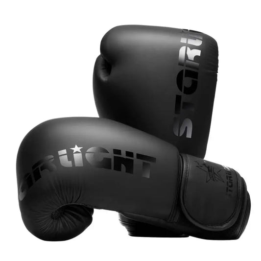 10oz Boxing Gloves Many Designs Available