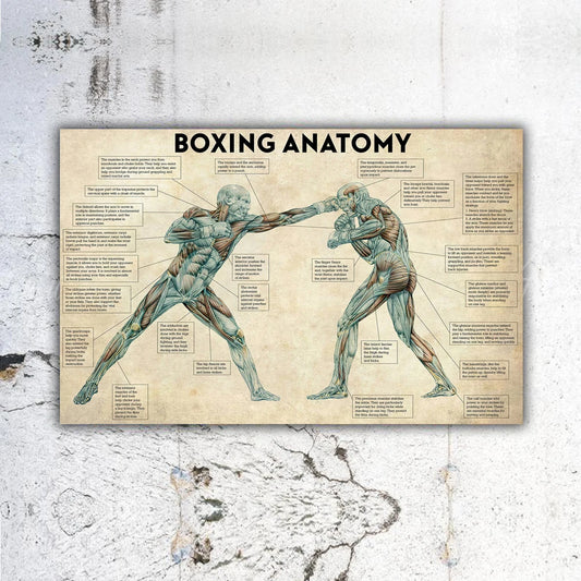 Boxing Anatomy Vintage Canvas Paintings